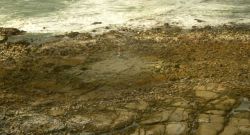 Faro 2010